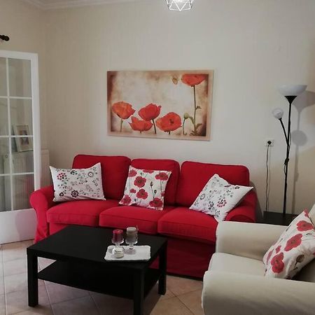 Sunny Stay Furnished Apartment In Kanoni Buitenkant foto