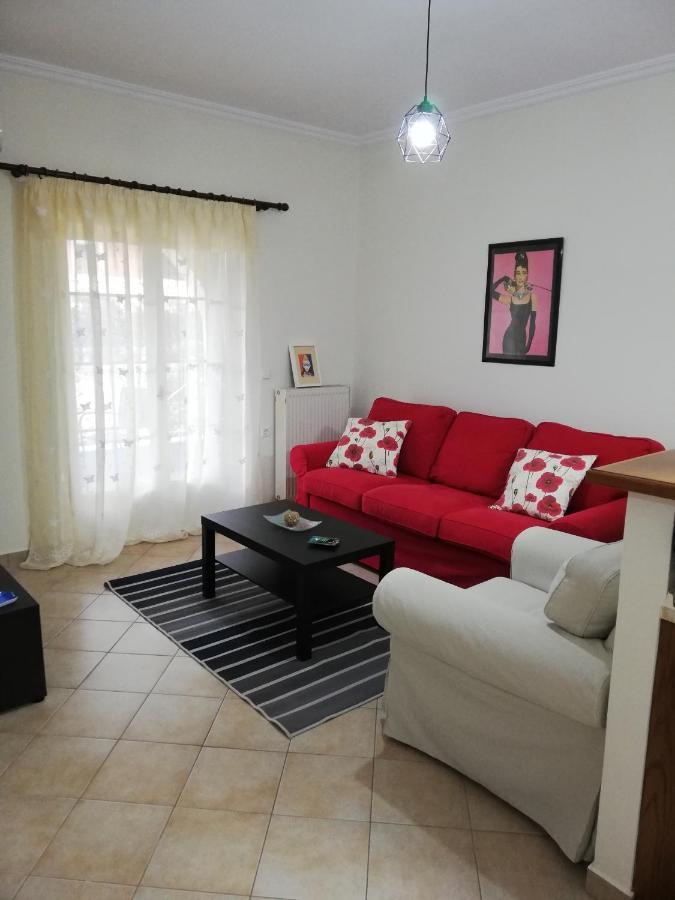 Sunny Stay Furnished Apartment In Kanoni Buitenkant foto